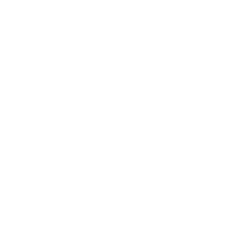 Tigre_ok