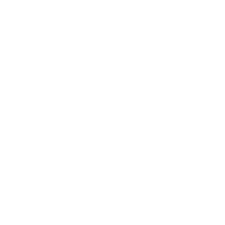 MERLO_OK